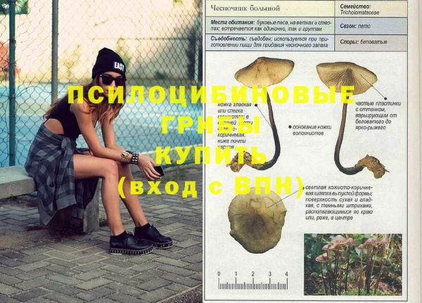 apvp Абдулино