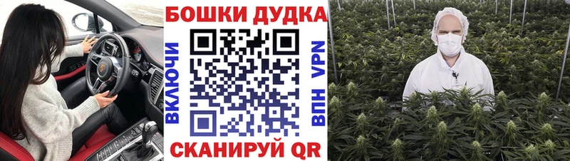 Шишки марихуана гибрид Бугуруслан